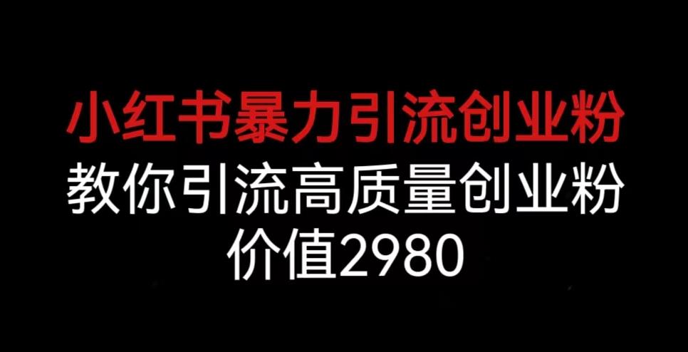 小红书暴力引流创业粉，教你引流高质量创业粉，价值2980【揭秘】-灵动共创