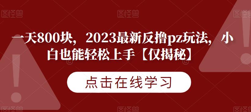 一天800块，2023最新反撸pz玩法，小白也能轻松上手【仅揭秘】-灵动共创