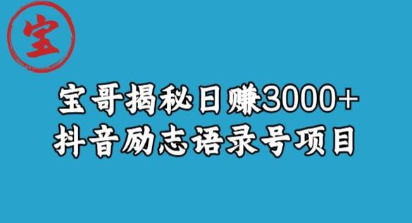 宝哥揭秘日赚3000+抖音励志语录号短视频变现项目-灵动共创