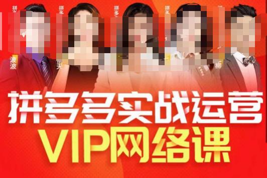 推易拼多多VIP全套直播课程，拼多多店铺实操玩法+实战玩法选款内功+直通车高阶等-灵动共创