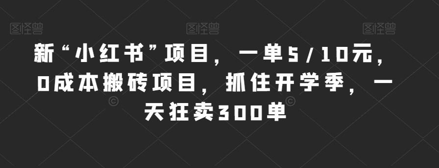 新“小红书”项目，一单5/10元，0成本搬砖项目，抓住开学季，一天狂卖300单【揭秘】-灵动共创