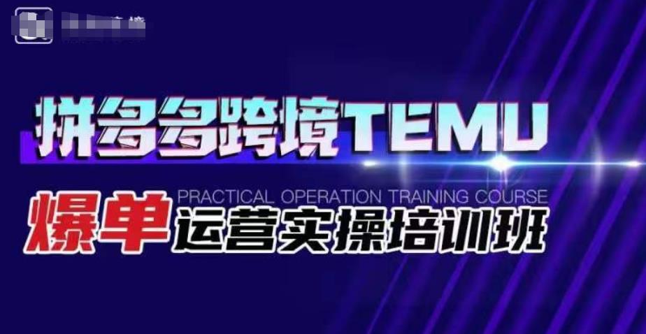 拼多多跨境TEMU爆单运营实操培训班，海外拼多多的选品、运营、爆单-灵动共创