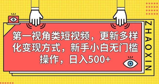 第一视角类短视频，更新多样化变现方式，新手小白无门槛操作，日入500+【揭秘】-灵动共创