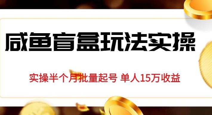 独家首发咸鱼盲盒玩法实操，半个月批量起号单人15万收益【揭秘】-灵动共创