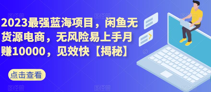2023最强蓝海项目，闲鱼无货源电商，无风险易上手月赚10000，见效快【揭秘】-灵动共创