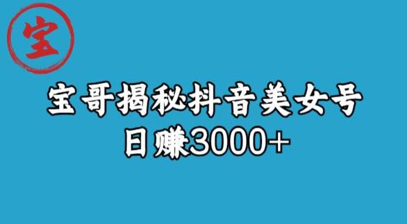 宝哥揭秘抖音美女号玩法，日赚3000+【揭秘】-灵动共创