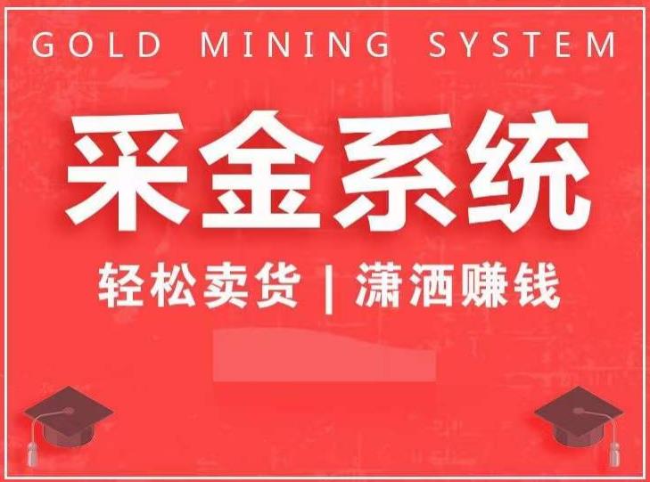 采金系统2.0，私域成交，快速成交收钱，轻松卖货，业绩暴涨，潇洒赚钱-灵动共创