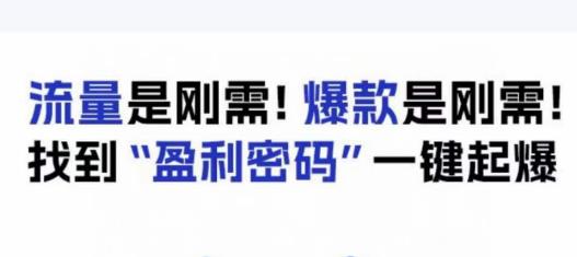 电商盈利精品课：6大盈利密码让产品更好卖，流量是刚需！爆款是刚需！找到”盈利密码”一键起爆-灵动共创