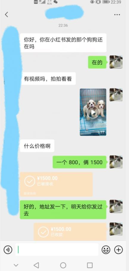 外边收费3980的同城萌宠项目，用最冷门的玩法冲击最热门的市场【揭秘】-灵动共创
