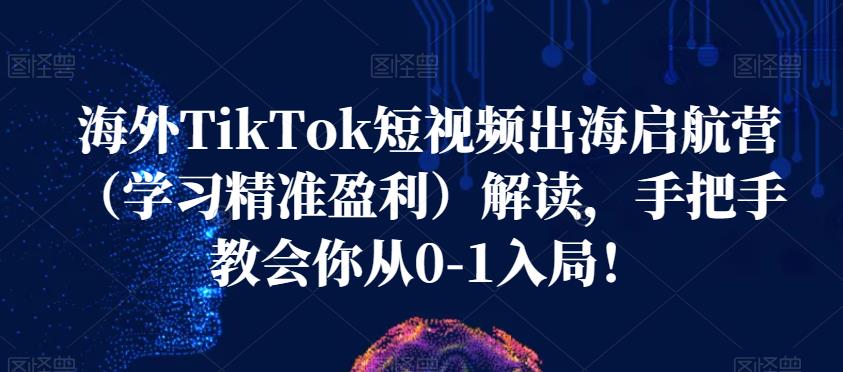 海外TikTok短视频出海启航营（学习精准盈利）解读，手把手教会你从0-1入局！-灵动共创