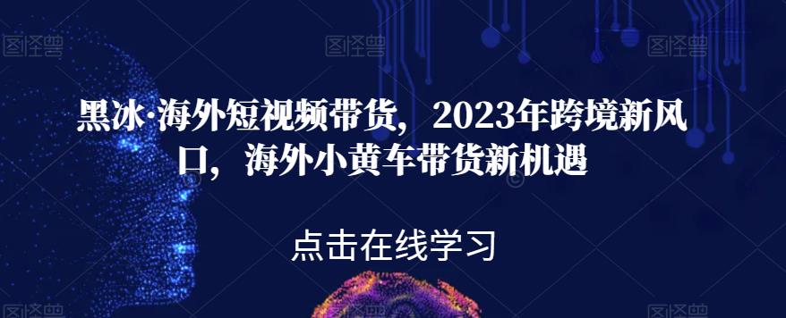 黑冰·海外短视频带货，2023年跨境新风口，海外小黄车带货新机遇-灵动共创