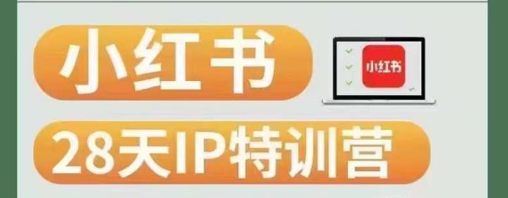 28天小红书博主IP特训营（第3期）实战经验，快速涨粉，迅速变现-灵动共创