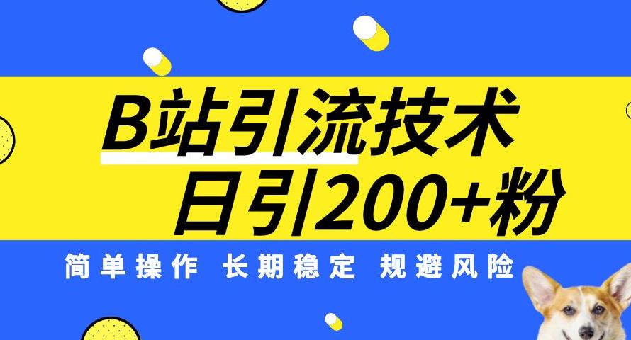 B站引流技术：每天引流200精准粉，简单操作，长期稳定，规避风险-灵动共创