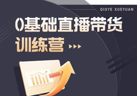 2023直播带货入门进阶运营实训课程，新手直播运营培训实操课-灵动共创