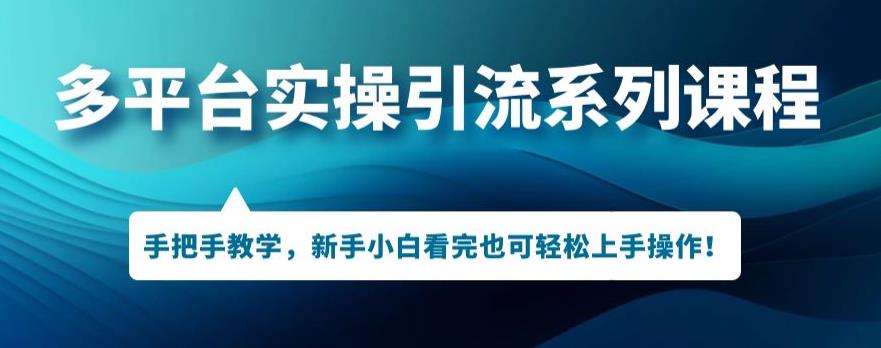 多平台引流实操系列课程，新手小白看完也可轻松上手进行引流操作-灵动共创