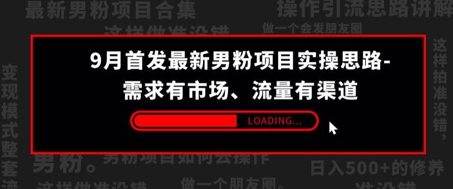 9月首发最新男粉项目实操思路-需求有市场，流量有渠道【揭秘】-灵动共创