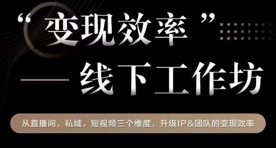 变现效率线下工作坊，从‮播直‬间、私域、‮视短‬频‮个三‬维度，升级IP和团队变现效率-灵动共创
