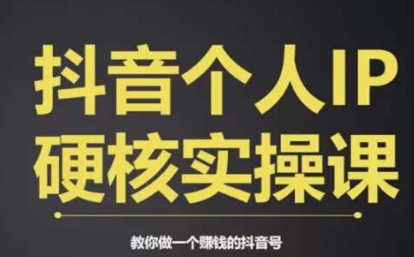个人IP创富系统实战课，商业定位，流量打造，短视频变现，教你做个赚钱的抖音号-灵动共创