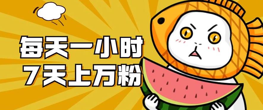 暴力涨粉项目：每天一小时，七天上万粉【揭秘】-灵动共创