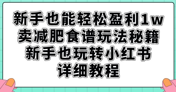 新手也能轻松盈利1w，卖减肥食谱玩法秘籍，新手也玩转小红书详细教程【揭秘】-灵动共创