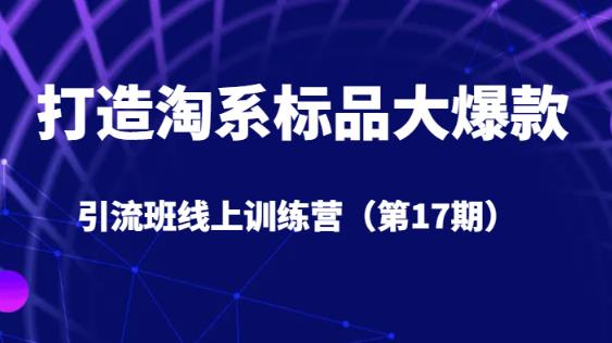打造淘系标品大爆款引流班线上训练营（第17期）5天直播授课-灵动共创