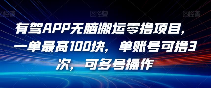 有驾APP无脑搬运零撸项目，一单最高100块，单账号可撸3次，可多号操作【揭秘】-灵动共创