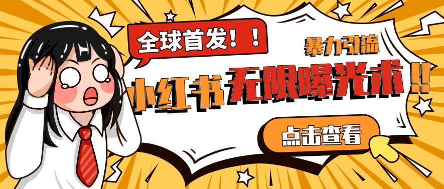 全网首发-小红书无限曝光术pro版全领域粉丝精准拿下-灵动共创