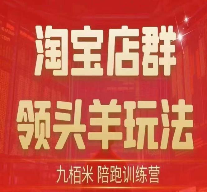 九栢米-淘宝店群领头羊玩法，教你整个淘宝店群领头羊玩法以及精细化/终极蓝海/尾销等内容-灵动共创