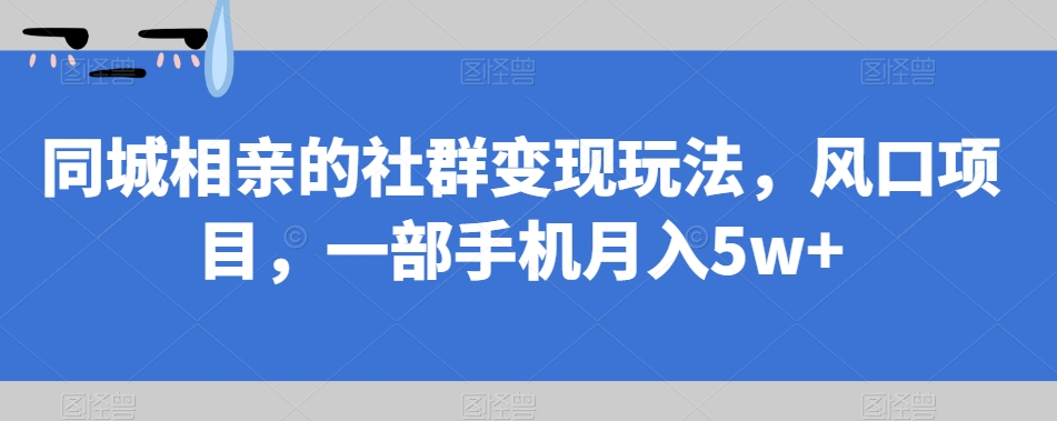 同城相亲的社群变现玩法，风口项目，一部手机月入5w+【揭秘】-灵动共创