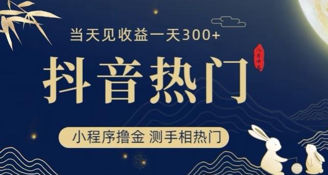 抖音最新小程序撸金，测手相上热门，当天见收益一小时变现300+【揭秘】-灵动共创