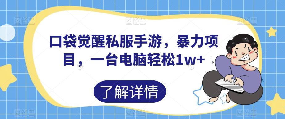 口袋觉醒私服手游，暴力项目，一台电脑轻松1w+【揭秘】-灵动共创
