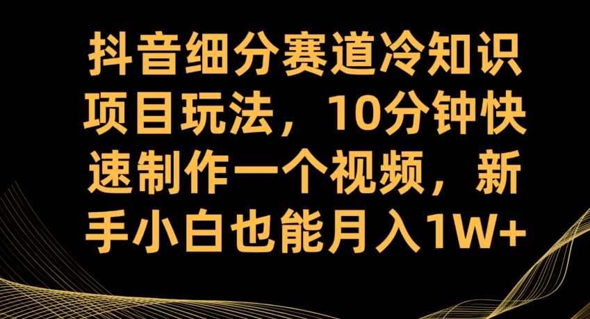 抖音细分赛道冷知识项目玩法，10分钟快速制作一个视频，新手小白也能月入1W+【揭秘】-灵动共创