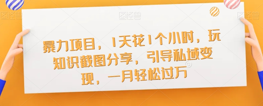 暴力项目，1天花1个小时，玩知识截图分享，引导私域变现，一月轻松过万【截图】-灵动共创