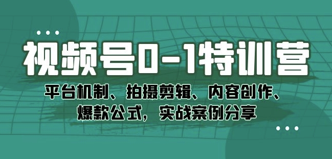 视频号0-1特训营：平台机制、拍摄剪辑、内容创作、爆款公式，实战案例分享-灵动共创