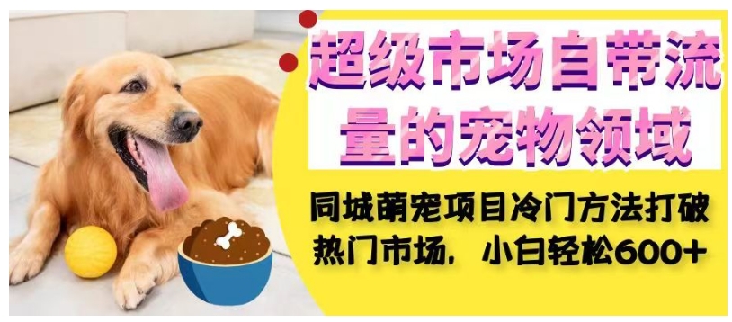 超级市场自带流量的宠物领域，同城萌宠项目冷门方法打破热门市场，小白轻松600+-灵动共创