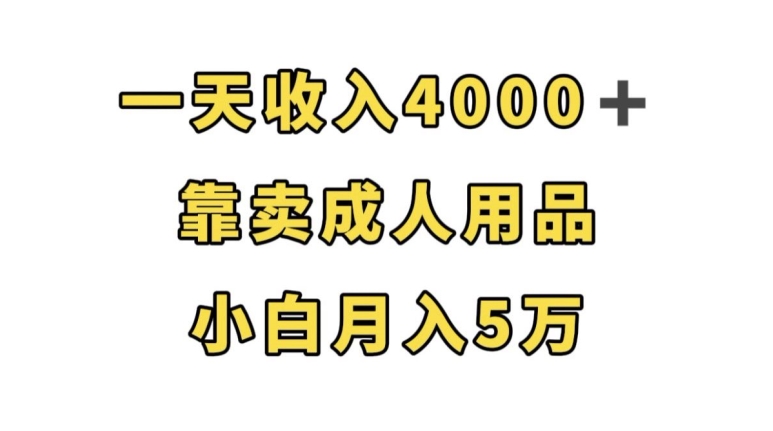 一天收入4000+，靠卖成人用品，小白轻松月入5万【揭秘】-灵动共创