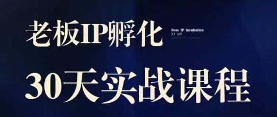 诸葛·2023老板IP实战课，实体同城引流获客，IP孵化必听-灵动共创