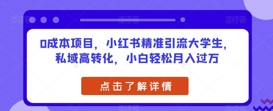 0成本项目，小红书精准引流大学生，私域高转化，小白轻松月入过万【揭秘】-灵动共创