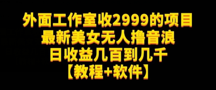 外面工作室收2999的项目最新美女无人撸音浪日收益几百到几千【教程+软件】（仅揭秘）-灵动共创