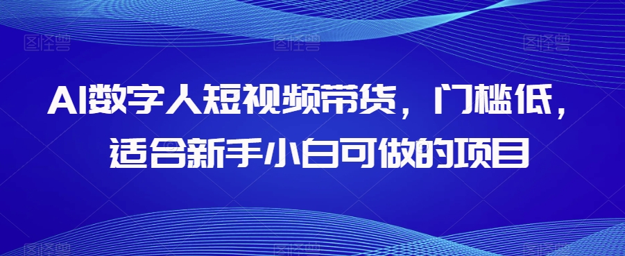 AI数字人短视频带货，门槛低，适合新手小白可做的项目-灵动共创