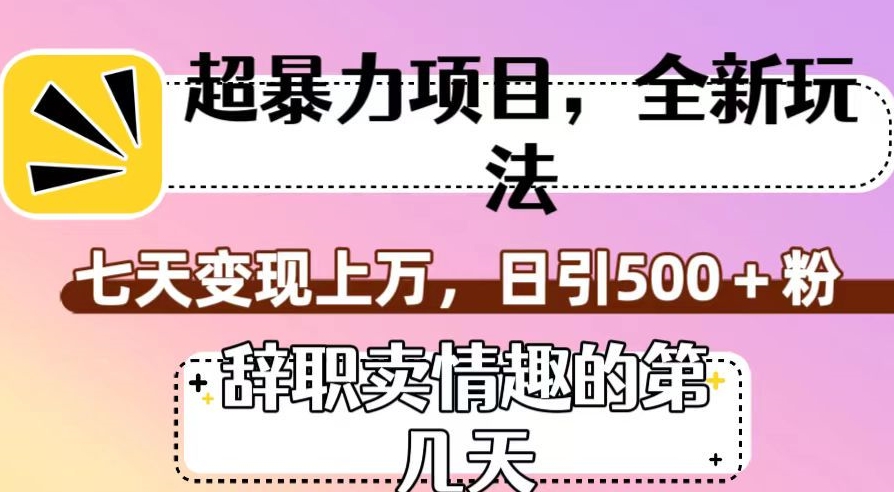 超暴利项目，全新玩法（辞职卖情趣的第几天），七天变现上万，日引500+粉【揭秘】-灵动共创
