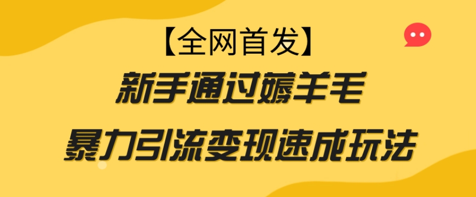 【全网首发】新手通过薅羊毛暴力引流变现速成玩法-灵动共创