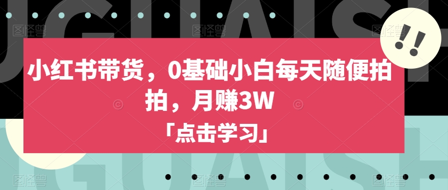 小红书带货，0基础小白每天随便拍拍，月赚3W【揭秘】-灵动共创