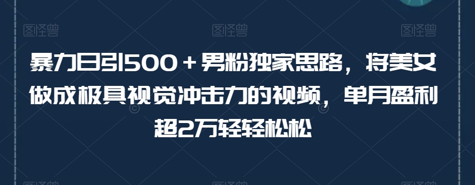暴力日引500＋男粉独家思路，将美女做成极具视觉冲击力的视频，单月盈利超2万轻轻松松-灵动共创