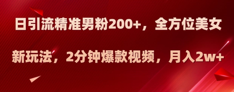日引流精准男粉200+，全方位美女新玩法，2分钟爆款视频，月入2w+【揭秘】-灵动共创