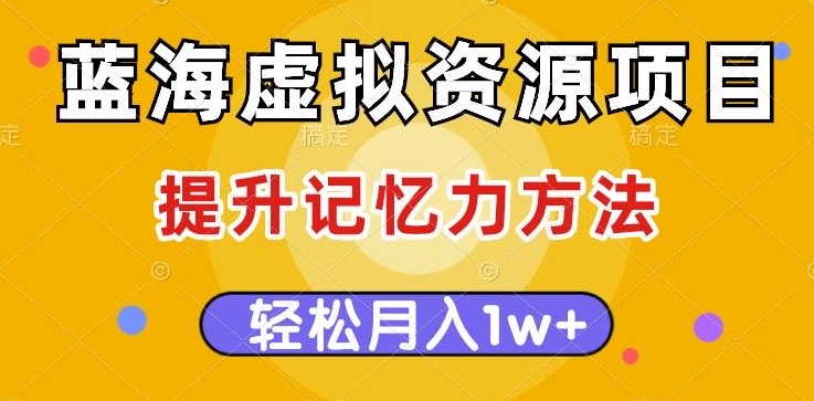 蓝海虚拟资源项目，提升记忆力方法，多种变现方式，轻松月入1w+【揭秘】-灵动共创