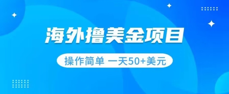 撸美金项目无门槛操作简单小白一天50+美刀-灵动共创