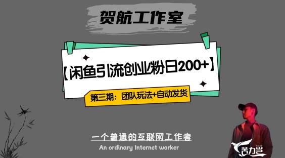 第三期：暴力引流，无脑搬运，闲鱼创业粉引流一天200+，更新全自动发货的团队闭环模式【揭秘】-灵动共创