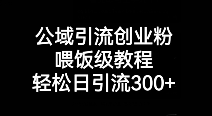 公域引流创业粉，喂饭级教程，轻松日引流300+【揭秘】-灵动共创