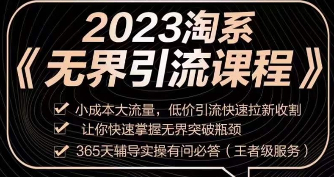 2023淘系无界引流实操课程，​小成本大流量，低价引流快速拉新收割，让你快速掌握无界突破瓶颈-灵动共创